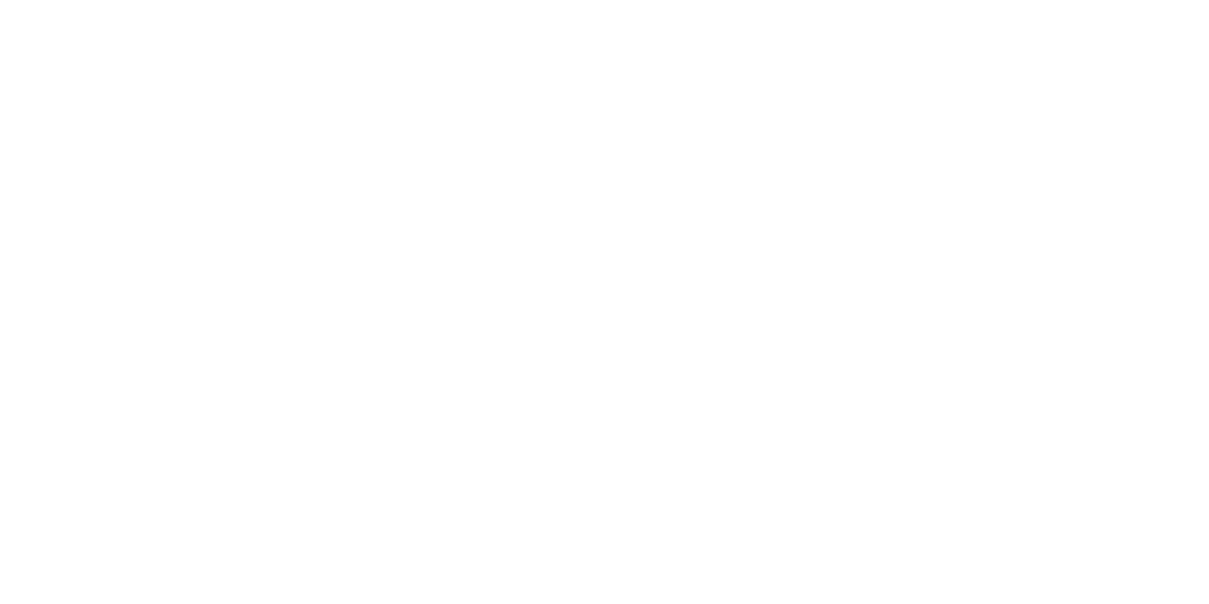 Discover Airlines
